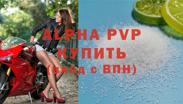 ГАЛЛЮЦИНОГЕННЫЕ ГРИБЫ Вязники
