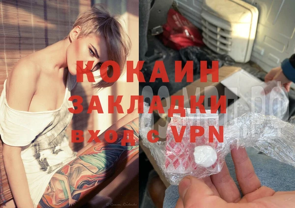 ГАЛЛЮЦИНОГЕННЫЕ ГРИБЫ Вязники