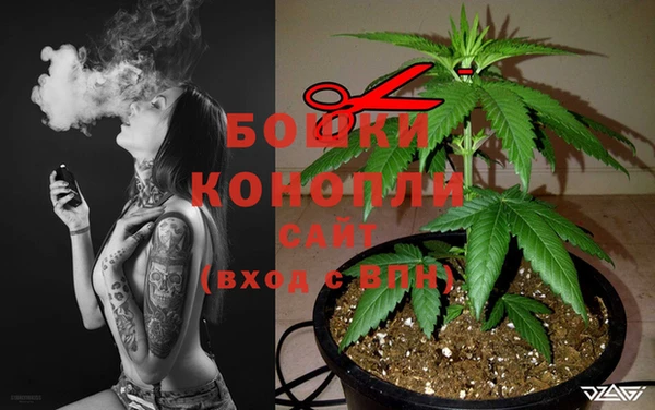 ГАЛЛЮЦИНОГЕННЫЕ ГРИБЫ Вязники