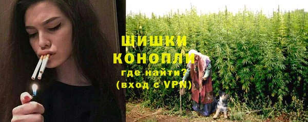 ГАЛЛЮЦИНОГЕННЫЕ ГРИБЫ Вязники
