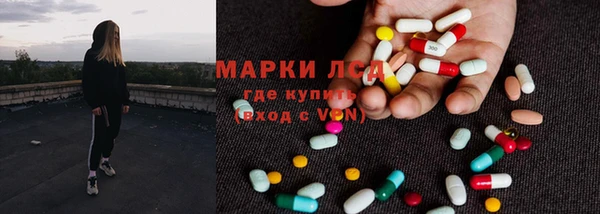 ГАЛЛЮЦИНОГЕННЫЕ ГРИБЫ Вязники
