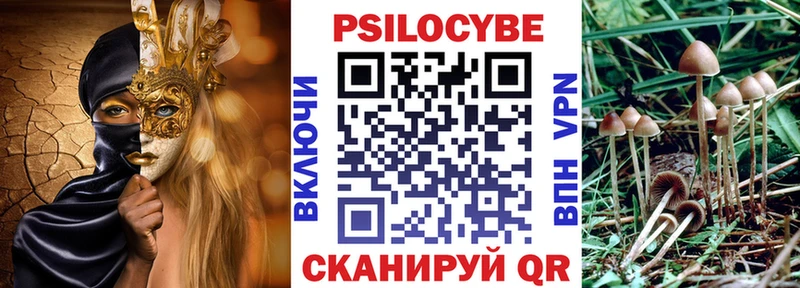 наркотики  Михайлов  Псилоцибиновые грибы прущие грибы 